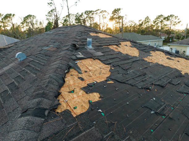 Best Roof Maintenance and Cleaning  in Frederic, WI